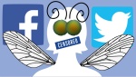 Top 11 Education Articles of 2022 Hidden by Facebook, Buried by Twitter, and Written by a Gadfly